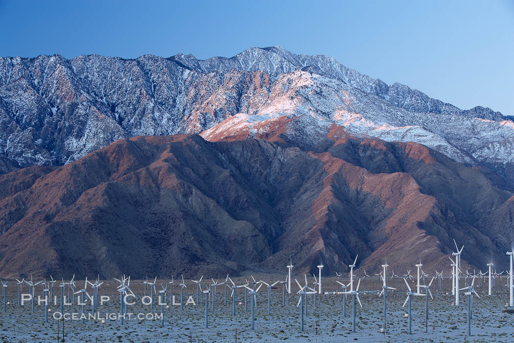 Wind turbines rise above the flat floor of the San Gorgonio Pass near Palm Springs, with snow covered Mount San Jacinto in the background, provide electricity to Palm Springs and the Coachella Valley. California, USA, natural history stock photograph, photo id 22243