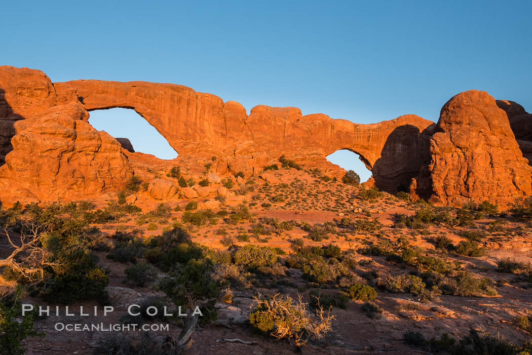 Windows at Sunrise, Arches National Park. Utah, USA, natural history stock photograph, photo id 29279