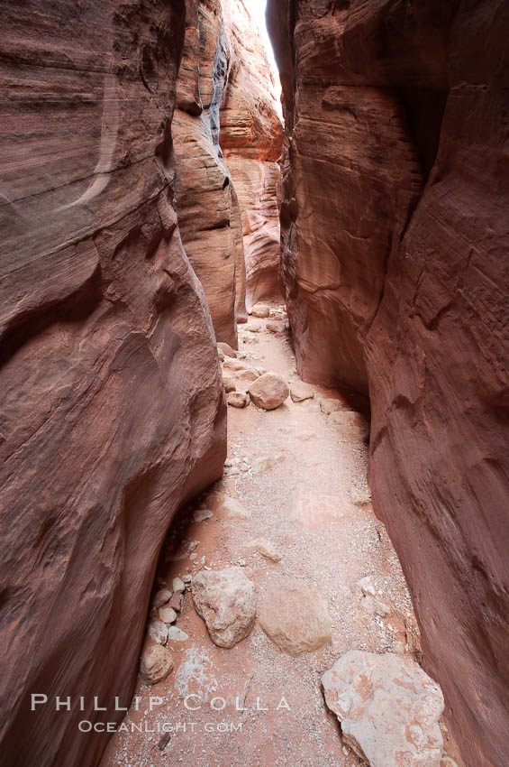 The Wire Pass narrows.  This exceedingly narrow slot canyon, in some places only two feet wide, is formed by water erosion which cuts slots deep into the surrounding sandstone plateau. Paria Canyon-Vermilion Cliffs Wilderness, Arizona, USA, natural history stock photograph, photo id 20720