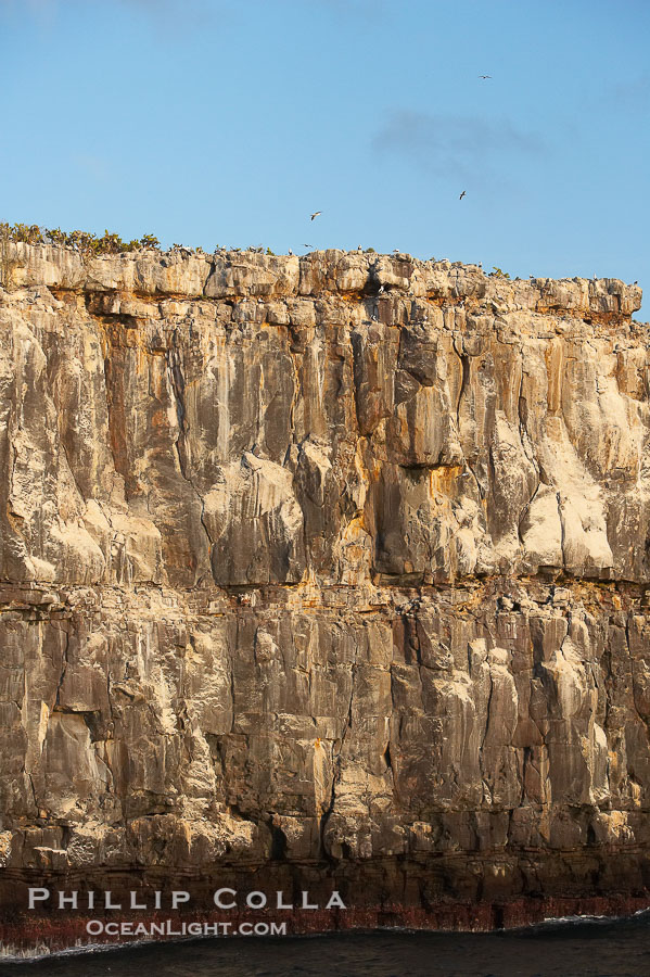 Seacliffs, home of many seabirds., natural history stock photograph, photo id 16634