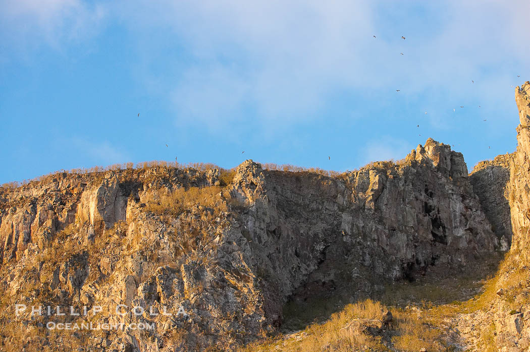 Wolf Island seacliffs, home to many seabirds., natural history stock photograph, photo id 16636