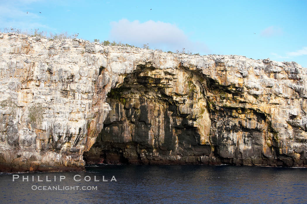 Wolf Island, Galapagos Islands, Ecuador, 16640