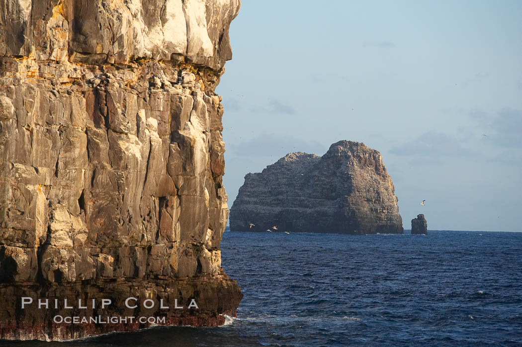 Seacliffs, home of many seabirds. Wolf Island, Galapagos Islands, Ecuador, natural history stock photograph, photo id 16633