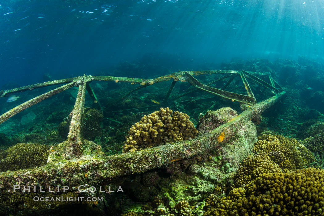 Wreck Lighthouse, Lobera San Rafaelito, Sea of Cortez. Baja California, Mexico, natural history stock photograph, photo id 33841