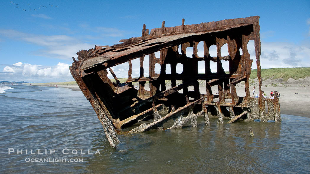 Wreck of the Peter Iredale, rusting away in the sand at the ocean's edge., natural history stock photograph, photo id 19448