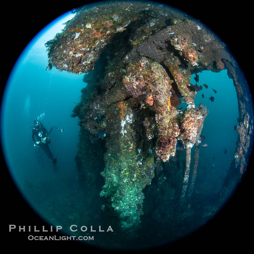 Wreck of the Portland Maru, some structure still visible, Kangaroo Island, South Australia. The Portland Maru was a 117-meter Japanese cargo ship which struck a submerged object and was beached near Cape Borda, Kangaroo Island, on March 19, 1935., natural history stock photograph, photo id 39215