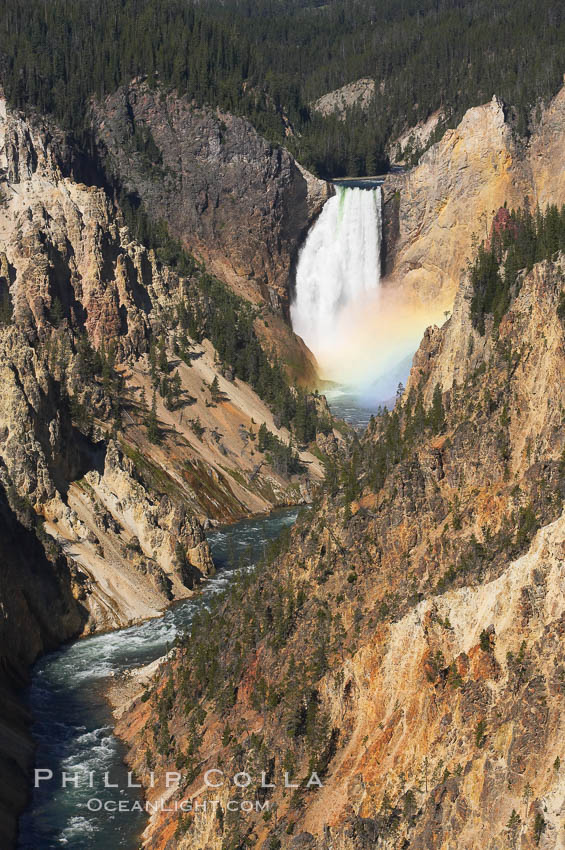 Rainbow Lower Yellowstone Falls Grand Canyon Of The Yellowstone