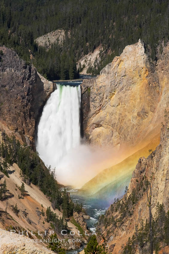 A rainbow appears in the mist of the Lower Falls of the Yellowstone River.  A long exposure blurs the fast-flowing water.  At 308 feet, the Lower Falls of the Yellowstone River is the tallest fall in the park.  This view is from the famous and popular Artist Point on the south side of the Grand Canyon of the Yellowstone.  When conditions are perfect in midsummer, a morning rainbow briefly appears in the falls. Yellowstone National Park, Wyoming, USA, natural history stock photograph, photo id 13336