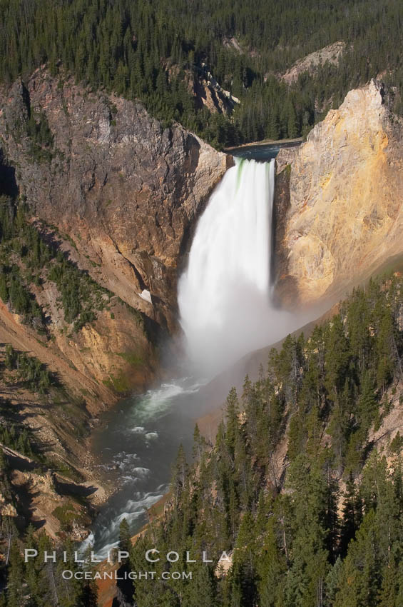 Lower Falls of the Yellowstone River.  At 308 feet, the Lower Falls of the Yellowstone River is the tallest fall in the park.  This view is from Lookout Point on the North side of the Grand Canyon of the Yellowstone.  The canyon is approximately 10,000 years old, 20 miles long, 1000 ft deep, and 2500 ft wide.  Its yellow, orange and red-colored walls are due to oxidation of the various iron compounds in the soil, and to a lesser degree, sulfur content. Yellowstone National Park, Wyoming, USA, natural history stock photograph, photo id 13322