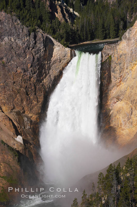 Lower Falls of the Yellowstone River.  At 308 feet, the Lower Falls of the Yellowstone River is the tallest fall in the park.  This view is from Lookout Point on the North side of the Grand Canyon of the Yellowstone.  The canyon is approximately 10,000 years old, 20 miles long, 1000 ft deep, and 2500 ft wide.  Its yellow, orange and red-colored walls are due to oxidation of the various iron compounds in the soil, and to a lesser degree, sulfur content. Yellowstone National Park, Wyoming, USA, natural history stock photograph, photo id 13326