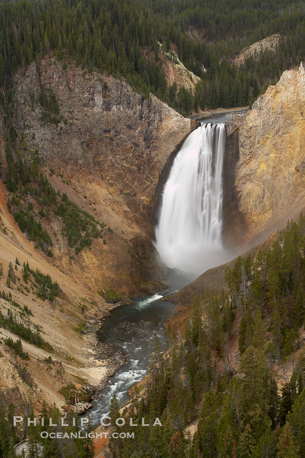Lower Yellowstone Falls. At 308 feet, the Lower Falls of the Yellowstone River is the tallest fall in the park. This view is from Lookout Point on the North side of the Grand Canyon of the Yellowstone., natural history stock photograph, photo id 19574