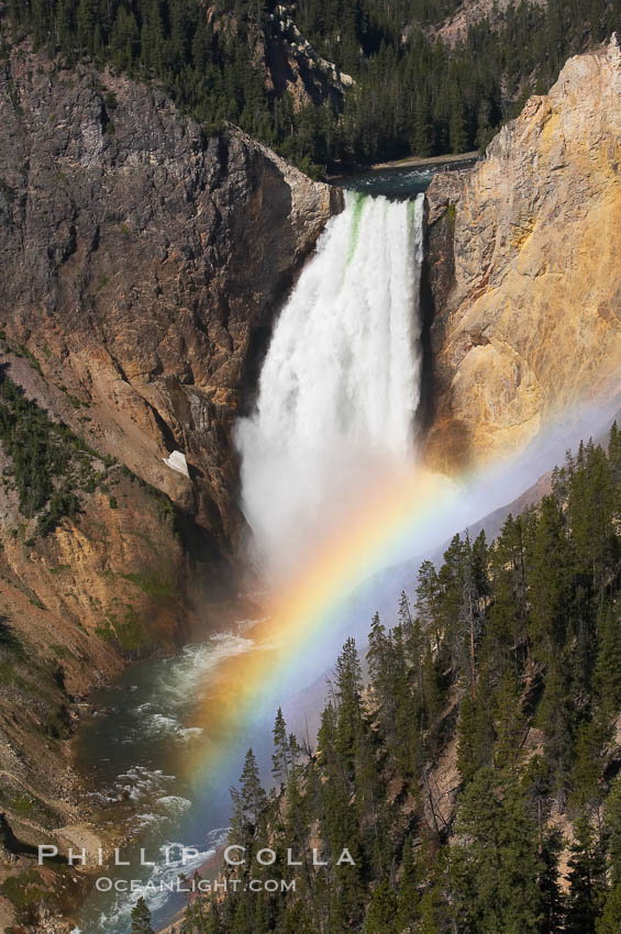 A rainbow appears in the mist of the Lower Falls of the Yellowstone River.  At 308 feet, the Lower Falls of the Yellowstone River is the tallest fall in the park.  This view is from Lookout Point on the North side of the Grand Canyon of the Yellowstone.  When conditions are perfect in midsummer, a midmorning rainbow briefly appears in the falls. Yellowstone National Park, Wyoming, USA, natural history stock photograph, photo id 13320