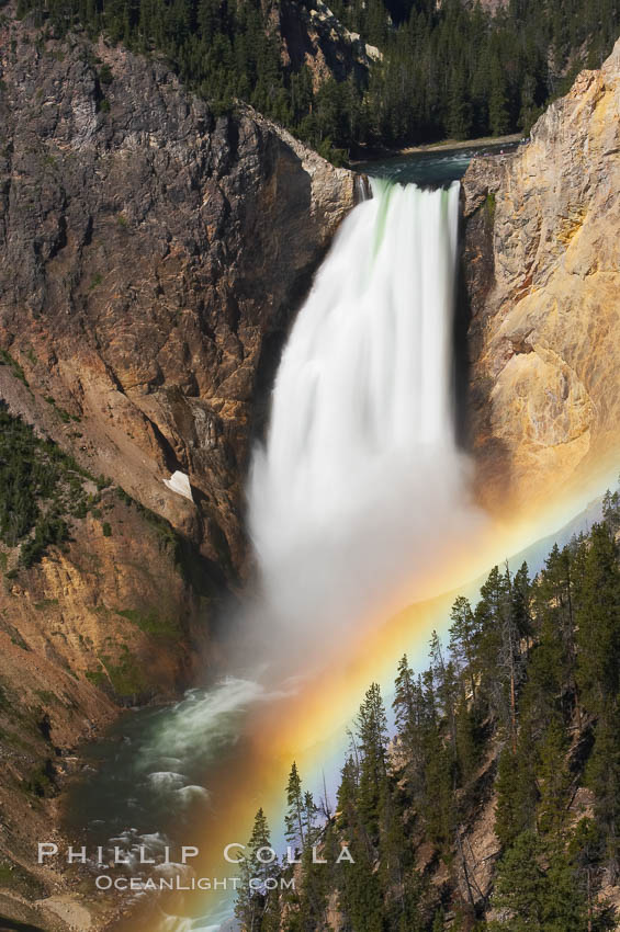 A rainbow appears in the mist of the Lower Falls of the Yellowstone River.  At 308 feet, the Lower Falls of the Yellowstone River is the tallest fall in the park.  This view is from Lookout Point on the North side of the Grand Canyon of the Yellowstone.  When conditions are perfect in midsummer, a midmorning rainbow briefly appears in the falls. Yellowstone National Park, Wyoming, USA, natural history stock photograph, photo id 13324