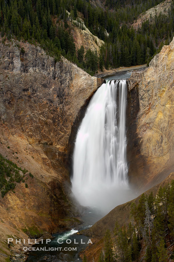 Lower Yellowstone Falls. At 308 feet, the Lower Falls of the Yellowstone River is the tallest fall in the park. This view is from Lookout Point on the North side of the Grand Canyon of the Yellowstone., natural history stock photograph, photo id 19576