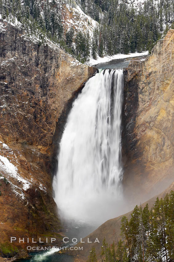 Snow covers the rocks and cliffs around Lower Yellowstone Falls in winter. At 308 feet, the Lower Falls of the Yellowstone River is the tallest fall in the park. This view is from Lookout Point on the North side of the Grand Canyon of the Yellowstone. Yellowstone National Park, Wyoming, USA, natural history stock photograph, photo id 19575