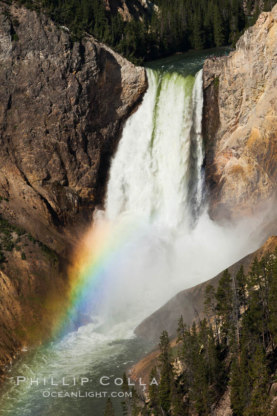 Yellowstone Falls viewed from Lookout Point with a rainbow.  Lower Yellowstone Falls cascades 308' in a thundering plunge into the Grand Canyon of the Yellowstone River. Yellowstone National Park, Wyoming, USA, natural history stock photograph, photo id 26963