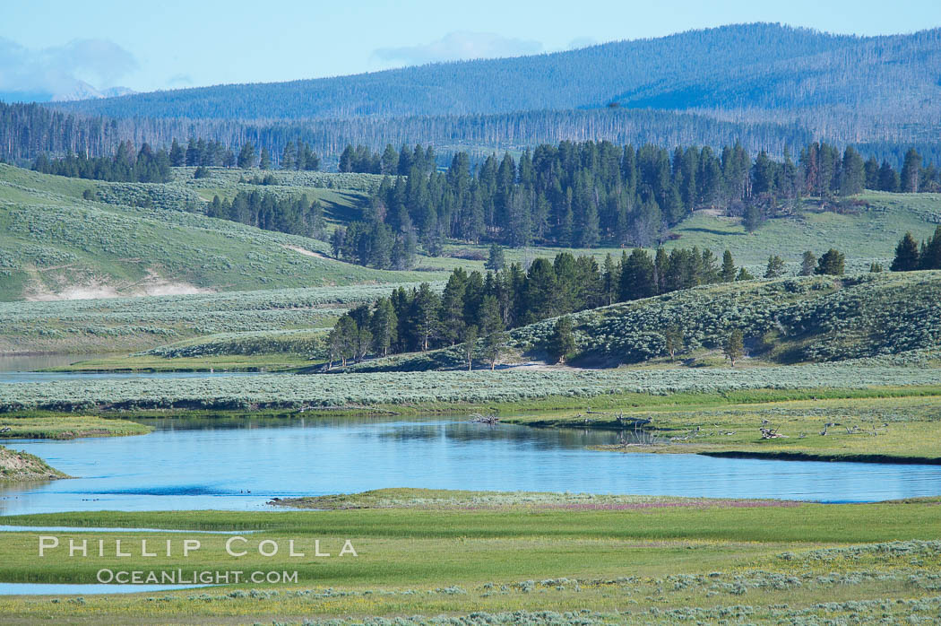 The Yellowstone River flows through the Hayden Valley. Yellowstone National Park, Wyoming, USA, natural history stock photograph, photo id 13350