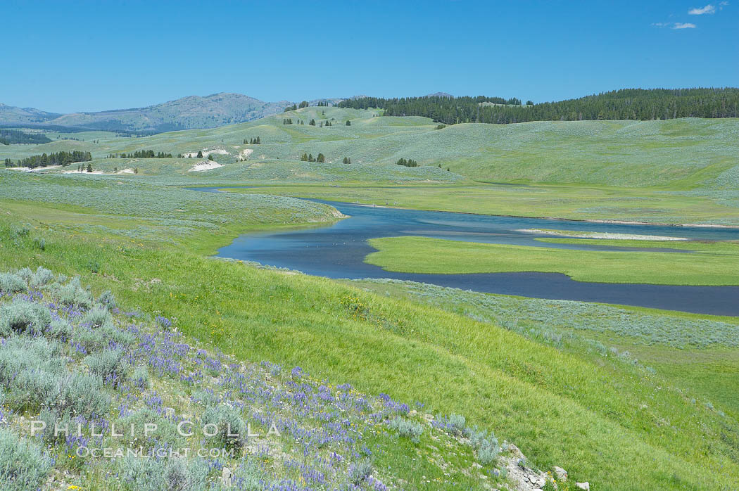 The Yellowstone River flows through the Hayden Valley. Yellowstone National Park, Wyoming, USA, natural history stock photograph, photo id 13349