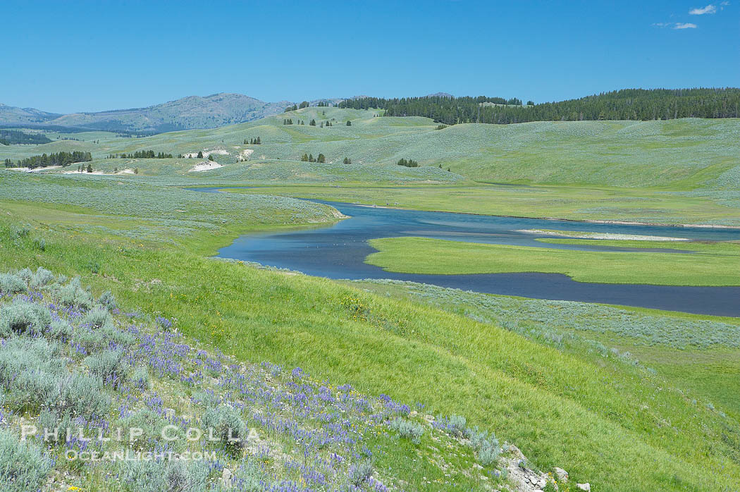 The Yellowstone River flows through the Hayden Valley., natural history stock photograph, photo id 13349