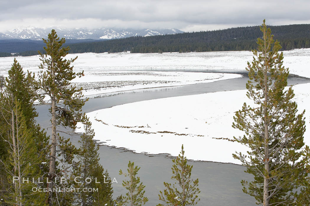 Yellowstone River flows through Hayden Valley, winter, snow. Yellowstone National Park, Wyoming, USA, natural history stock photograph, photo id 19597