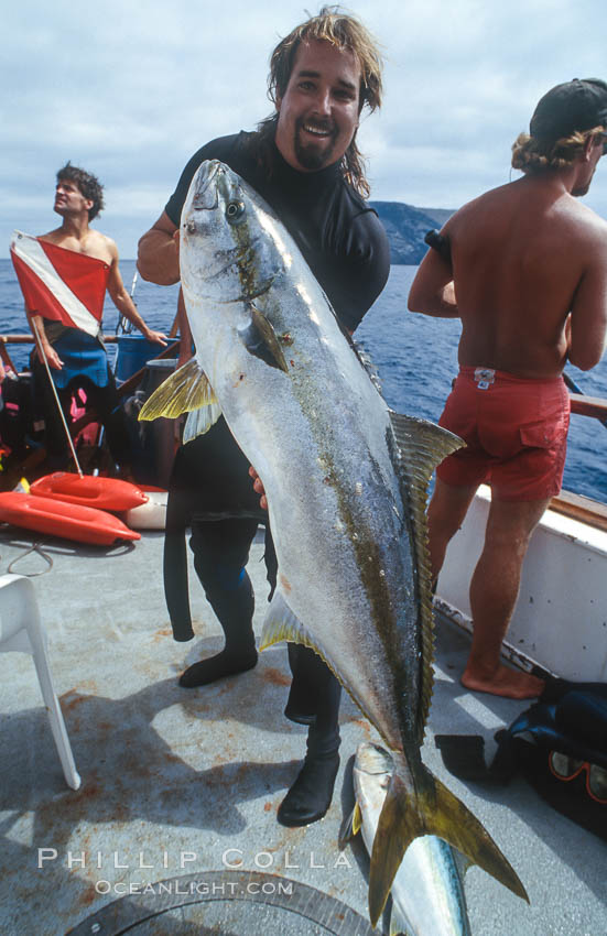 Yellowtail fishing, Guadalupe Island, Mexico. Guadalupe Island (Isla Guadalupe), Baja California, natural history stock photograph, photo id 01977