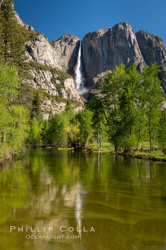 Yosemite Falls rises above the Merced River, viewed from the Swinging Bridge. The 2425' falls is the tallest in North America. Yosemite National Park, California, USA, natural history stock photograph, photo id 34547