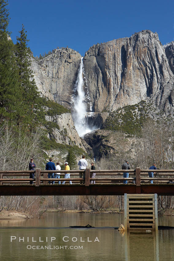 Visitors admire Yosemite Falls from the Swinging Bridge, Leidig Meadow. Yosemite National Park, California, USA, natural history stock photograph, photo id 22758