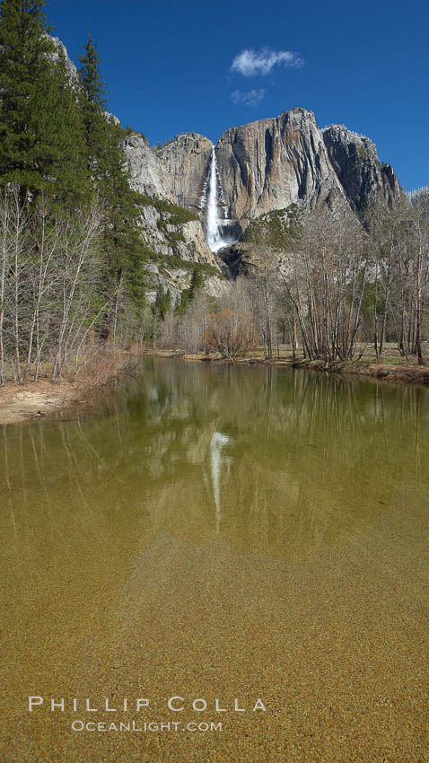 Yosemite Falls rises above the Merced River, viewed from Swinging Bridge. Yosemite National Park, California, USA, natural history stock photograph, photo id 22757