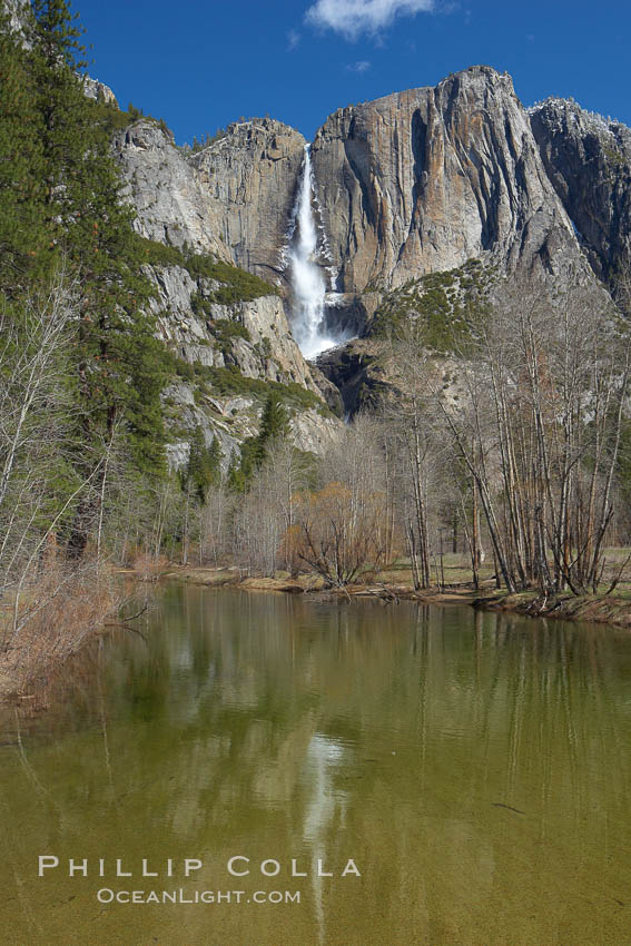 Yosemite Falls reflected in the Merced River, viewed from Swinging Bridge. Yosemite National Park, California, USA, natural history stock photograph, photo id 22765