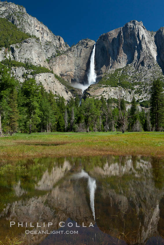 Yosemite Falls reflected in flooded meadow.  The Merced  River floods its banks in spring, forming beautiful reflections of Yosemite Falls. Yosemite National Park, California, USA, natural history stock photograph, photo id 26890