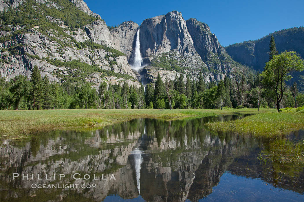 Yosemite Falls reflected in flooded meadow.  The Merced  River floods its banks in spring, forming beautiful reflections of Yosemite Falls. Yosemite National Park, California, USA, natural history stock photograph, photo id 26892