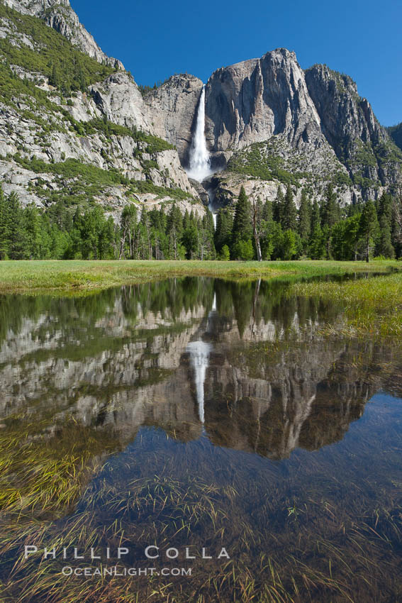 Yosemite Falls reflected in flooded meadow.  The Merced  River floods its banks in spring, forming beautiful reflections of Yosemite Falls. Yosemite National Park, California, USA, natural history stock photograph, photo id 26893
