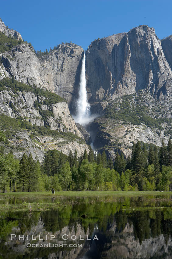 Yosemite Falls rises above Cooks Meadow.  The 2425 falls, the tallest in North America, is at peak flow during a warm-weather springtime melt of Sierra snowpack.  Yosemite Valley. Yosemite National Park, California, USA, natural history stock photograph, photo id 16159