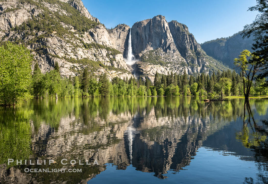 Yosemite Falls reflected in Flooded Sentinel Meadow, when the Merced River floods Yosemite Valley following a winter of historic snowfall in the Sierra Nevada, Yosemite National Park. California, USA, natural history stock photograph, photo id 39378