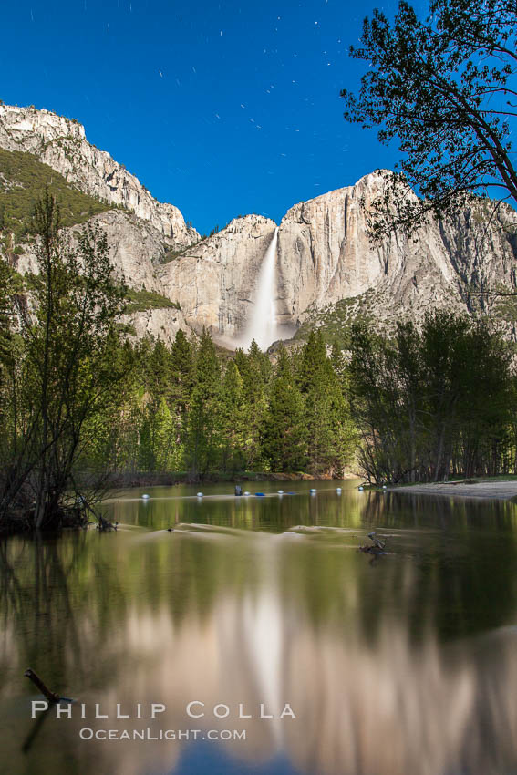 Yosemite Falls reflected in the Merced River, illuminated by moonlight, spring. Yosemite National Park, California, USA, natural history stock photograph, photo id 27759