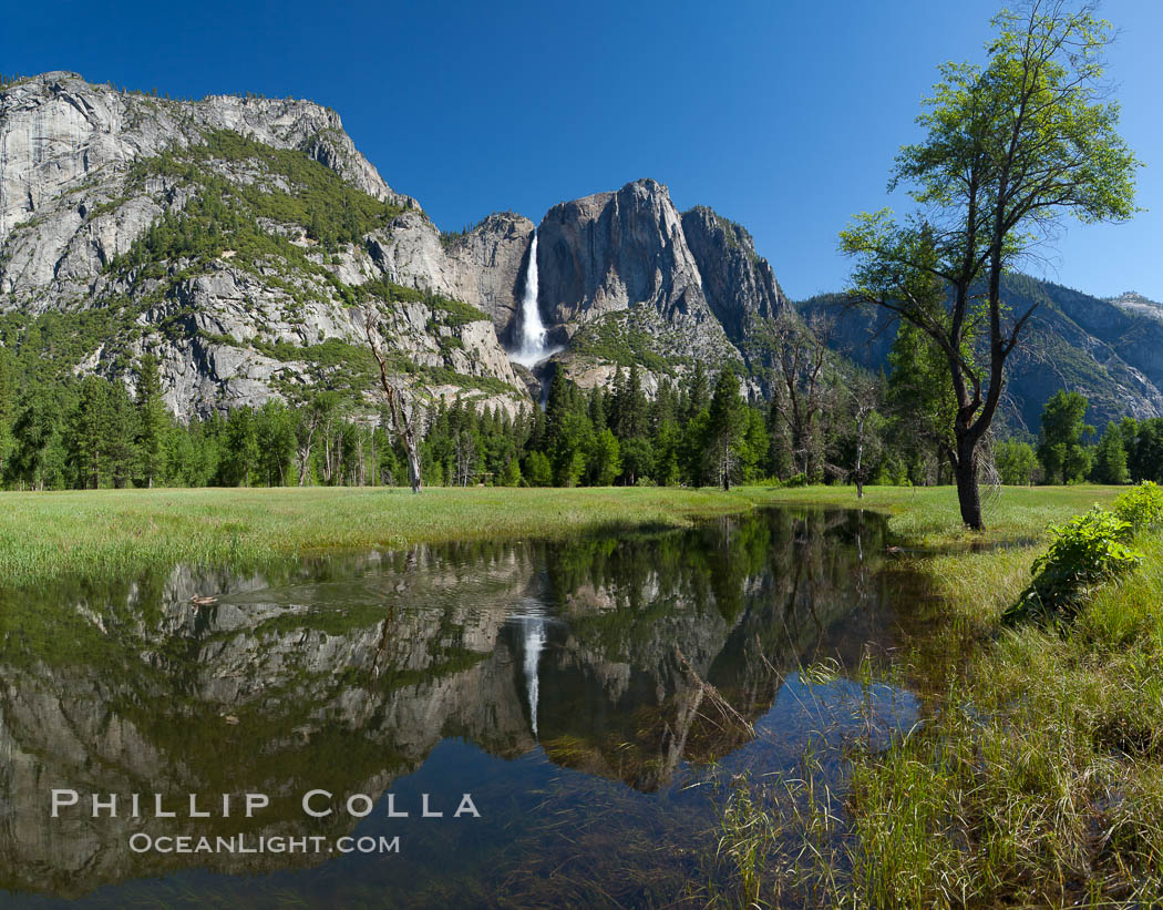 Yosemite Falls reflected in flooded meadow.  The Merced  River floods its banks in spring, forming beautiful reflections of Yosemite Falls. Yosemite National Park, California, USA, natural history stock photograph, photo id 26898