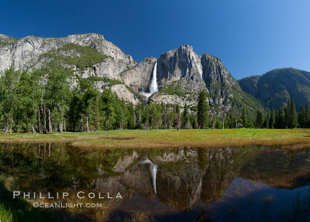 Yosemite Falls reflected in flooded meadow.  The Merced  River floods its banks in spring, forming beautiful reflections of Yosemite Falls. Yosemite National Park, California, USA, natural history stock photograph, photo id 26900