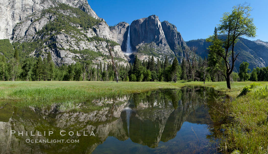 Yosemite Falls reflected in flooded meadow.  The Merced  River floods its banks in spring, forming beautiful reflections of Yosemite Falls. Yosemite National Park, California, USA, natural history stock photograph, photo id 26897