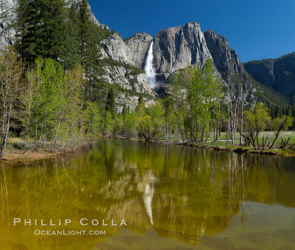 Yosemite Falls rises above the Merced River, viewed from the Swinging Bridge. The 2425' falls is the tallest in North America. Yosemite National Park, California, USA, natural history stock photograph, photo id 27741