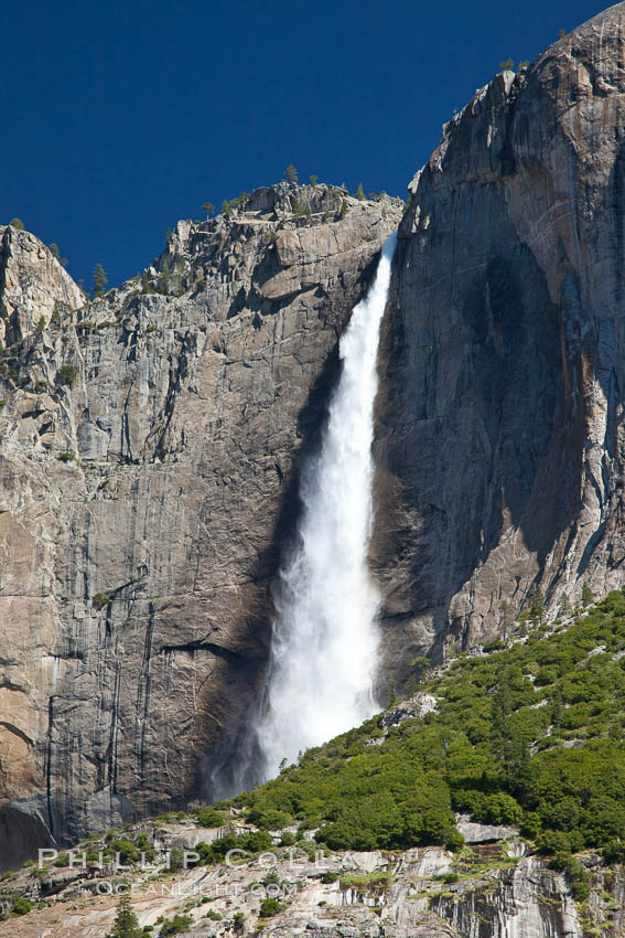 Yosemite Falls viewed from Cooks Meadow, spring. Yosemite National Park, California, USA, natural history stock photograph, photo id 26864