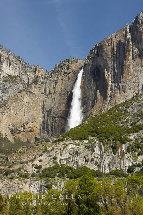 Yosemite Falls at peak flow in late spring, viewed from Cooks Meadow. Yosemite National Park, California, USA, natural history stock photograph, photo id 12633