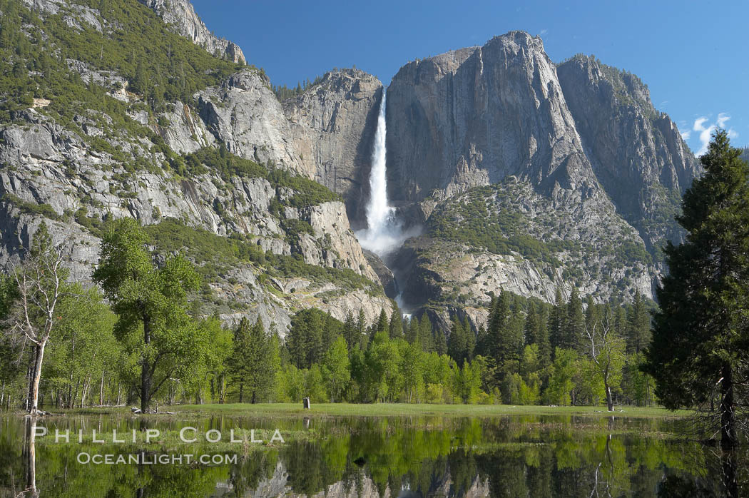 Yosemite Falls rises above Cooks Meadow.  The 2425 falls, the tallest in North America, is at peak flow during a warm-weather springtime melt of Sierra snowpack.  Yosemite Valley. Yosemite National Park, California, USA, natural history stock photograph, photo id 16154