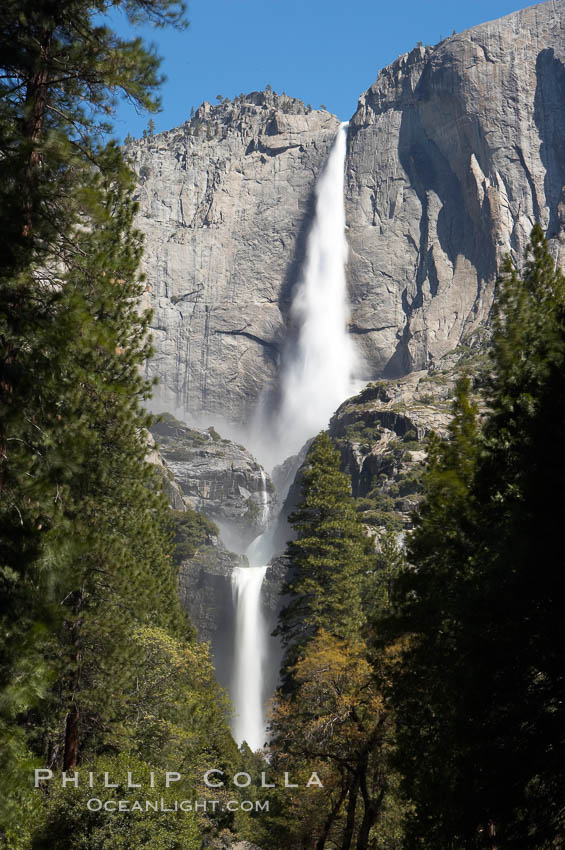 Yosemite Falls (upper, middle and lower sections) at peak flow, spring, Yosemite Valley. Yosemite National Park, California, USA, natural history stock photograph, photo id 16148
