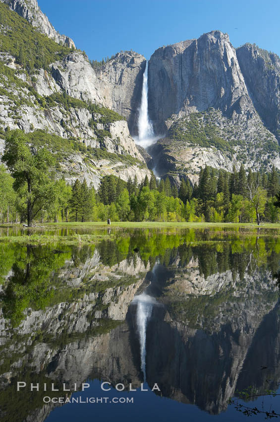 Yosemite Falls is reflected in a springtime pool in flooded Cooks Meadow, Yosemite Valley. Yosemite National Park, California, USA, natural history stock photograph, photo id 16152