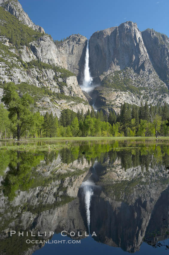 Yosemite Falls is reflected in a springtime pool in flooded Cooks Meadow, Yosemite Valley. Yosemite National Park, California, USA, natural history stock photograph, photo id 16135