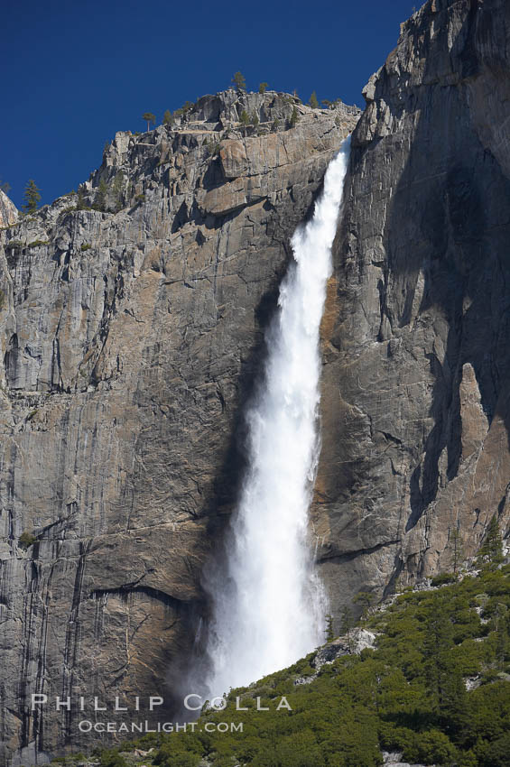 Yosemite Falls at peak flow, spring, Yosemite Valley. Yosemite National Park, California, USA, natural history stock photograph, photo id 16139