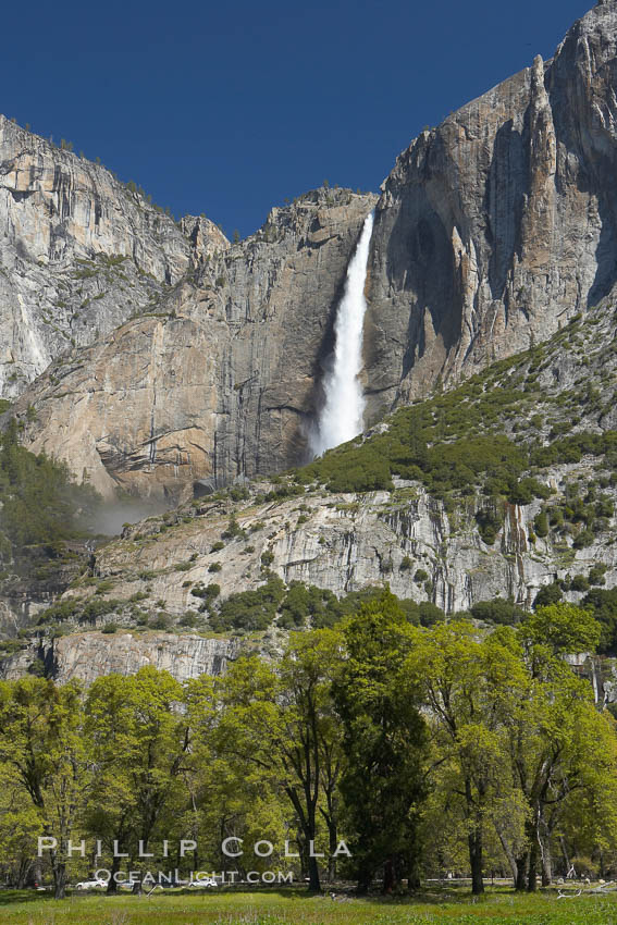 Yosemite Falls rises above Cooks Meadow.  The 2425 falls, the tallest in North America, is at peak flow during a warm-weather springtime melt of Sierra snowpack.  Yosemite Valley. Yosemite National Park, California, USA, natural history stock photograph, photo id 16147