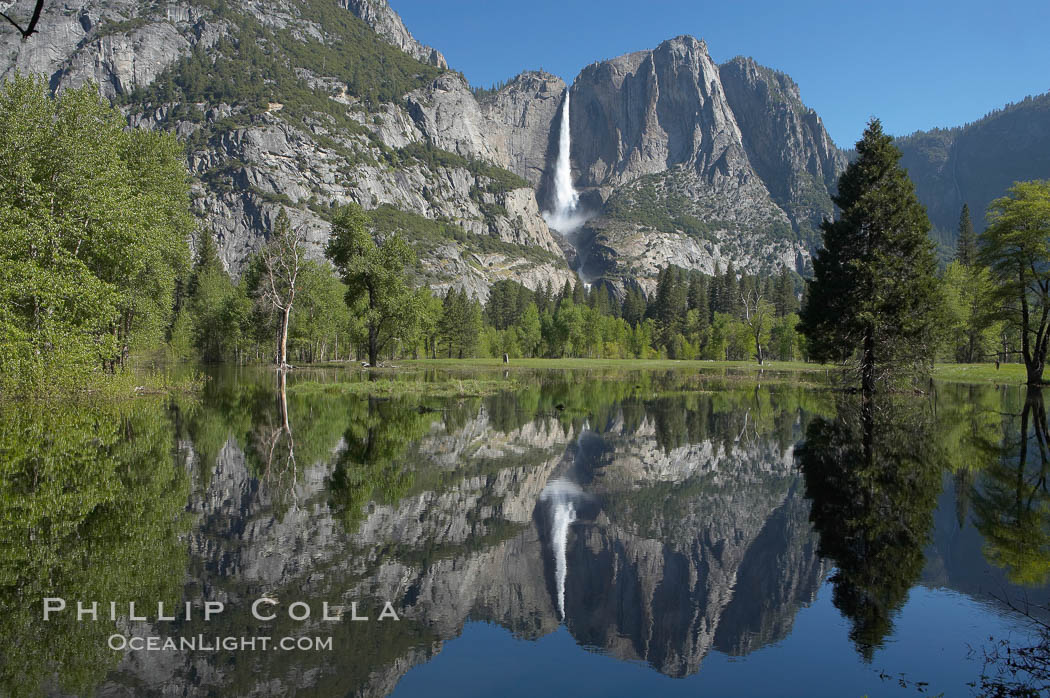 Yosemite Falls is reflected in a springtime pool in flooded Cooks Meadow, Yosemite Valley. Yosemite National Park, California, USA, natural history stock photograph, photo id 16137