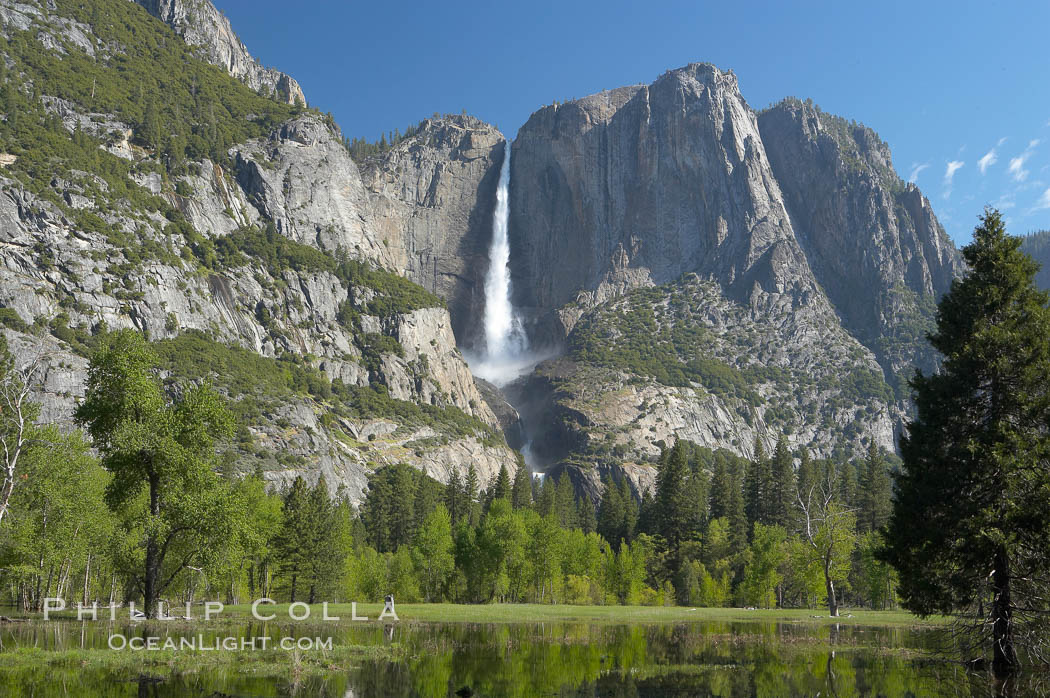 Yosemite Falls rises above Cooks Meadow.  The 2425 falls, the tallest in North America, is at peak flow during a warm-weather springtime melt of Sierra snowpack.  Yosemite Valley. Yosemite National Park, California, USA, natural history stock photograph, photo id 16153