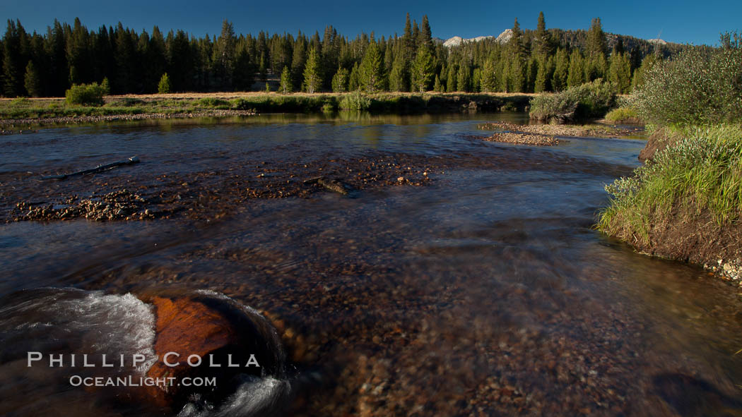 Tuolumne River flows through Tuolumne Meadows at sunset. Yosemite National Park, California, USA, natural history stock photograph, photo id 25782